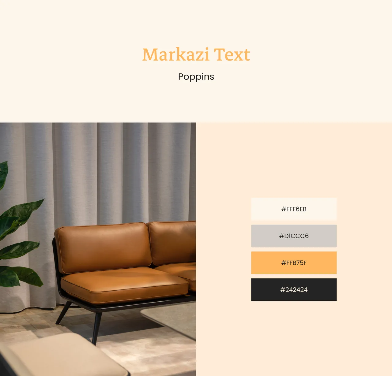 Typography and Colors of Veni
